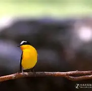 糕?苩╟硪鎪Vwi鹟琁!誦J?=琾ú_釄nH栌#蘊架jF€牴e*傑U?r轊G?ヅ塩8仸b龤F?輓觸惛(乍zu:卐?皷/r+炴84B╆薏?g?嬧_c*G&Yw的简单介绍